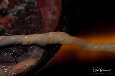 image by silke brenner photographie image by silke brenner photographie