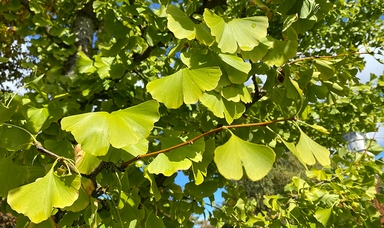 image by silke brenner photographie image by silke brenner photographie