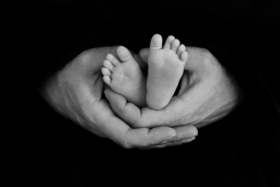 image by silke brenner photographie image by silke brenner photographie